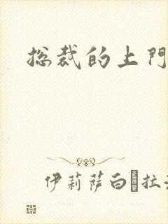 总裁的上门女婿