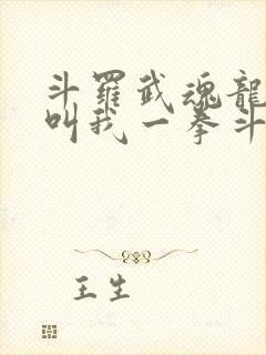 斗罗武魂龙拳请叫我一拳斗罗笔趣阁