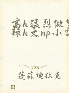 高h猛烈做哭高辣h文np小说