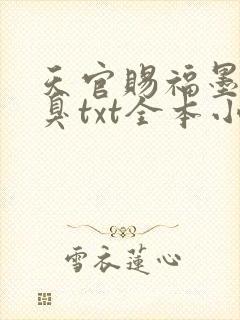 天官赐福墨香铜臭txt全本小说