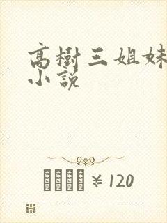 高树三姐妹有声小说