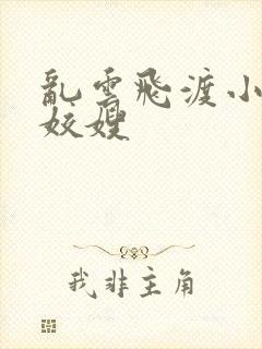 乱云飞渡小说之姣嫂