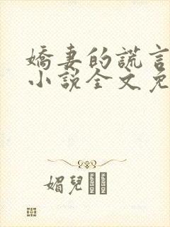 娇妻的谎言小楠小说全文免费阅读