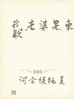 我老婆是东方不败