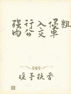 强行入侵粗暴h肉公交车