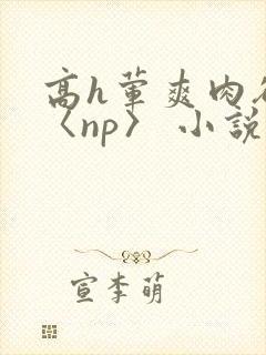 高h荤爽肉欲文〈np〉 小说