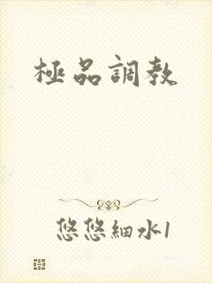 极品调教封面