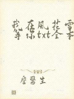 我在风花雪月里等你txt全本封面