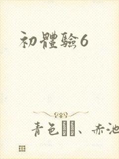 初体验6封面