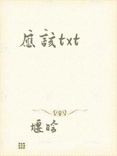 应该txt
