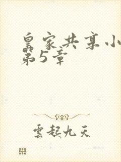 皇家共享小公主第5章