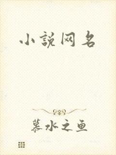 小说网名