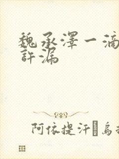 魏承泽一滴都不许漏封面