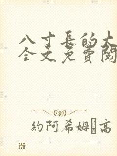 八寸长的大宝贝全文免费阅读