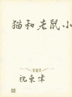 猫和老鼠小说