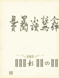 见星小说全文免费阅读无弹窗