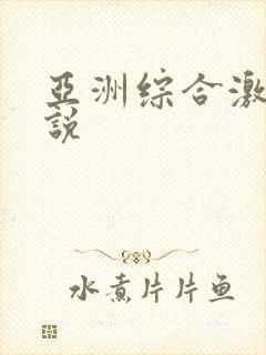 亚洲综合激情小说