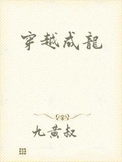 穿越成龙封面