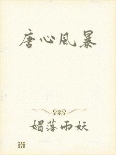 唐心风暴
