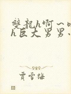 双龙h啊～嗯啊h巨大男男小说封面