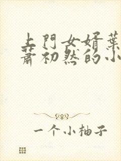 上门女婿叶辰和萧初然的小说最新章节