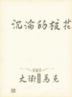 沉沦的校花封面