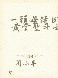 一头母猪 BY 黄金圣斗士