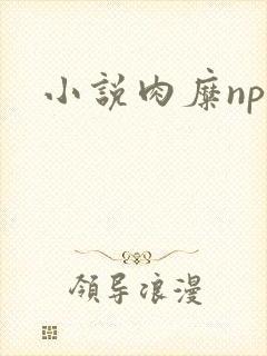 小说肉糜np