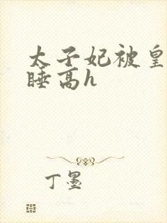 太子妃被皇上强睡高h