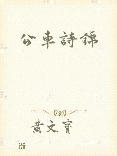 公车诗锦封面