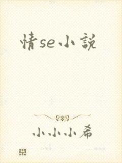 情se小说