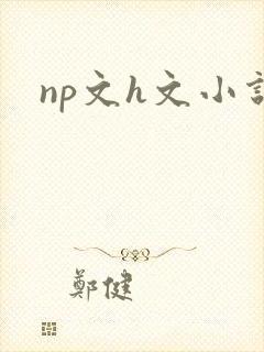 np文h文小说