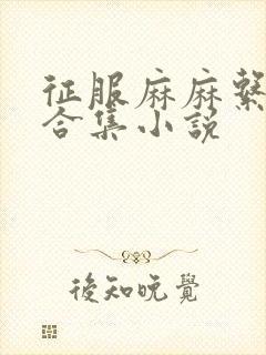 征服麻麻系列大合集小说