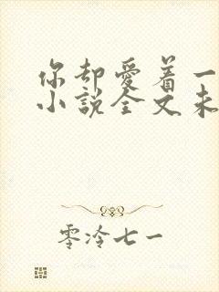 你却爱着一个他小说全文未删减免费