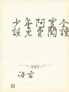 少年阿宾全文小说免费阅读笔趣阁封面