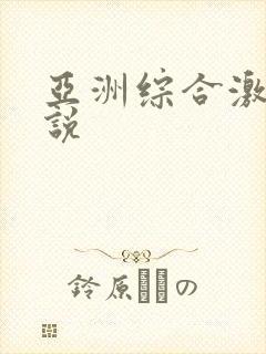 亚洲综合激情小说封面