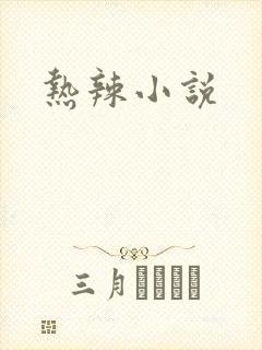 热辣小说