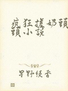 疯狂搓奶头吸奶头小说