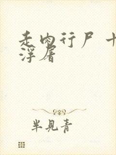 走肉行尸 十阶浮屠封面