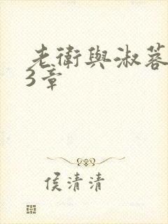 老卫与淑蓉第13章