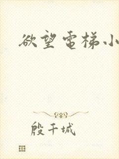 欲望电梯小说封面