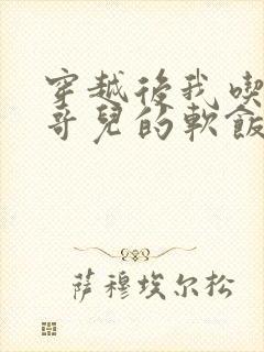 穿越后我吃到了哥儿的软饭炉山灰封面