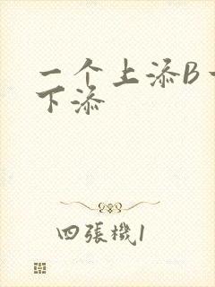 一个上添B一个下添