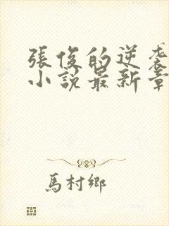 张俊的逆袭之路小说最新章节封面