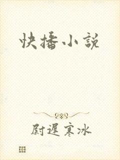 快播小说