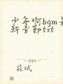 少年啊bgm最新章节txt