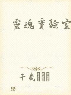 灵魂实验室封面