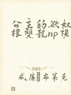 公主的欲奴h四根双龙np视频