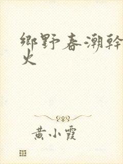 乡野春潮干柴烈火封面