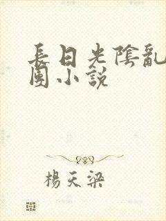 长日光阴乱作一团小说封面